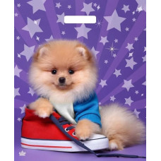 ТикоПластик пакет выруб.ручка 450*380*0,06 Пёсик глянцев./50 цена за 1шт.кратно спайке